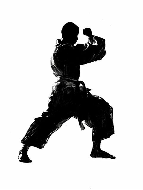 太极拳:刚柔并济中感悟人生