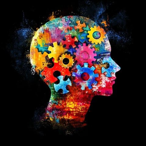 全面解析心理健康的三大标准:自我认知、情绪管理与社会适应力