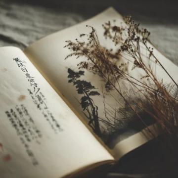 中医初学者的困惑与成长之路:从自学罗大伦到面对自身健康挑战