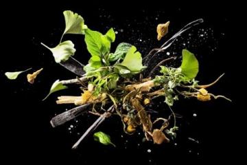 秋季必吃“小人参”——白萝卜养生食谱推荐