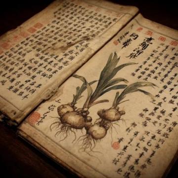 昙华林中医养生进社区:老有所养,健康零距离体验