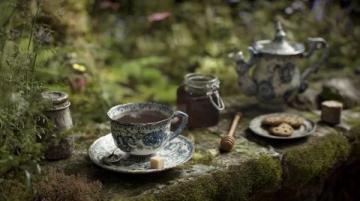 轻松养生:一锅搞定粥汤药材茶