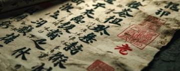 中医馆决策者的系统思考