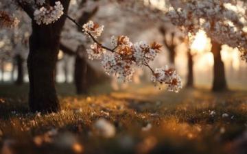 春季养生指南:健康度过换季时节