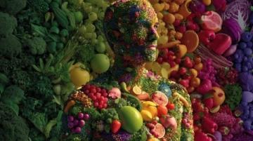解密食物四气,开启养生新篇
