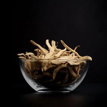 低调却实力超强!西洋参6大功效你不想知道吗?