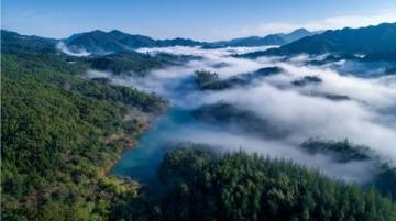 都江堰虹口4A景区山水别墅,承包你的全年美好时光!生态爱好者的天堂