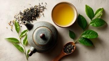 四季茶疗——遵循自然节拍,探索中式养生之道
