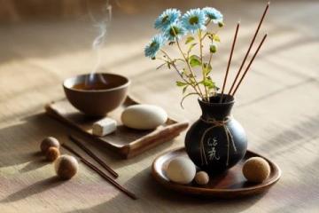 传统中医治疗癫痫的中药方剂详解与应用技巧