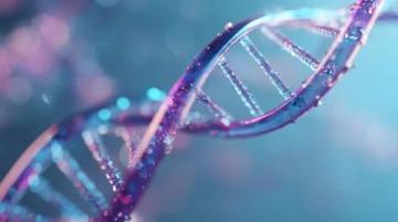 父母赐予的健康基因:长寿的天然保障与生命质量的基石