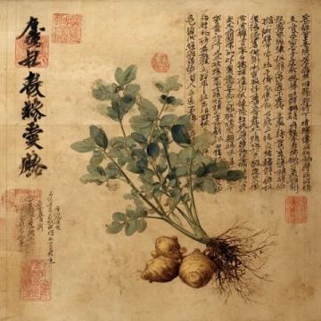周口市川汇区中医院开展国际志愿者日活动