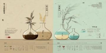 中医养生法包括饮食调理、锻炼健身、精神调节、中医理疗、中药调治等。
