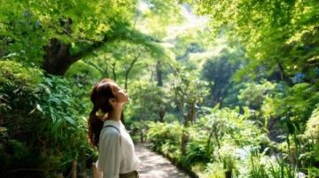 三伏天养生指南:如何利用热夏季度调理身心