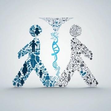 如何理解健康人格与健康心理的关系?