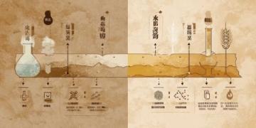 昼夜四季皆可养生(昼夜四季养生原则)