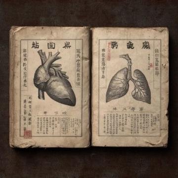 中医药发展历经千年: 百年老字号企业的成长与挑战