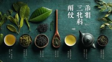 如何从中医养生角度培养乐观心态和豁达人生?