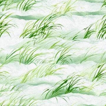 立夏时节乾卦解读:阴阳调和,养生秘诀揭晓