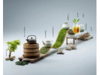 创客新篇章：连载百四十七，中医预防篇首登
