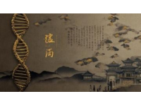 中医传承应注重学术源头的继承与发展