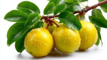 6种超实用梨子煮水配方，全家养生必备！