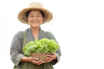 每天轻松养生:7个中式健康习惯,调节身心的小妙招