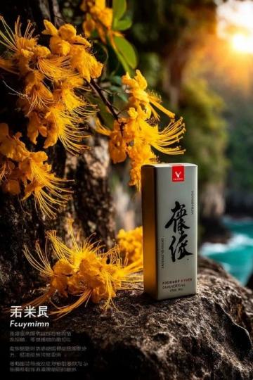 紫鑫名方：穿越古今的传统养生秘方及其现代应用