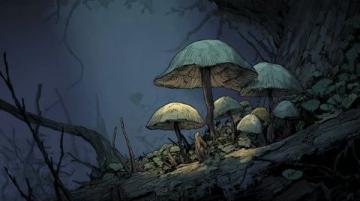 深山珍宝野生红菇——大自然的红色黄金，养生人士的终极选择！