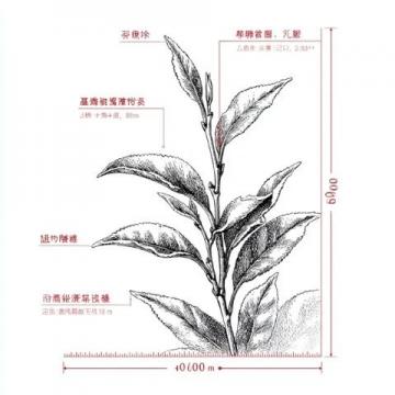 季节养生指南(中医理论季节养生)