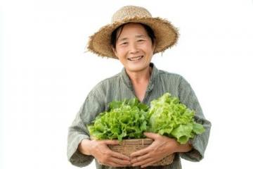 适合中老年养生零食推荐