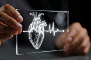什么是真正的健康：不仅仅是身体上的