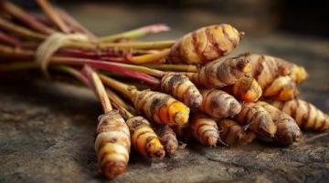 夏日姜秘籍：解锁食疗功效，掌握科学吃姜之道