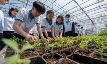 金安区东桥希望小学安全教育活动精彩收官，助推学生健康成长