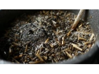 每日一勺养生宝：自制黑芝麻核桃米糊，激活秀发光泽与肌肤润泽