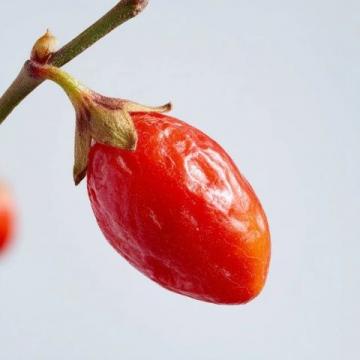本草纲目里的养生圣果:大枣的三大保健秘密及5种创新食用方法