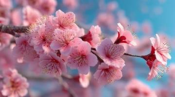中医养生秘籍：春季养生攻略，活到九十九！