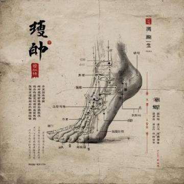 中医养生的方位能量密码:解读七星与人体调养规律
