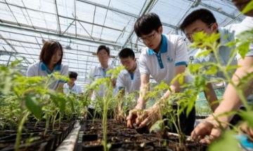 石家庄中小学生心理健康月活动启动(布置心理健康月活动)