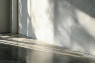 中国老年人养生之道揭秘