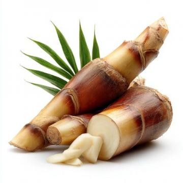 寒冬养生:一根甘蔗的六种妙用技巧