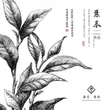 中医养生樊正伦全集(樊正伦-中医养生智慧05)