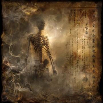 传统养生气功修炼的底层逻辑(中医养生的底层逻辑包括)