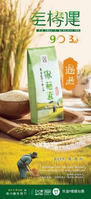云天节气养生立夏至三伏，姜枣茶的黄金71天！5款体质配方大公开