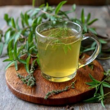 喝茶养生主要喝什么茶以下几种茶在养生方面较为常见