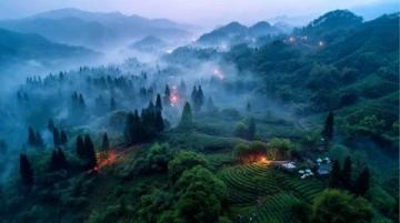 探索月照养生谷:六盘水避暑胜地的自然奇观与美食之旅