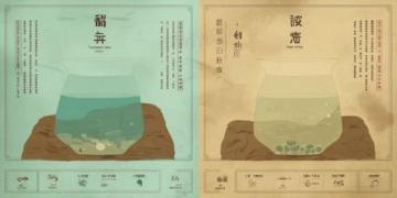 中医养生汤配方大全