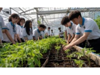 农发行莘县支行举办员工心理健康辅导讲座(农发行 员工心理健康)