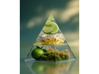 食疗艺术：利用食物调节身体健康