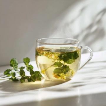 夏日养生必备:七款神奇茶饮助你解暑提神
