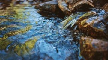 静水流深：探寻真正的养生智慧